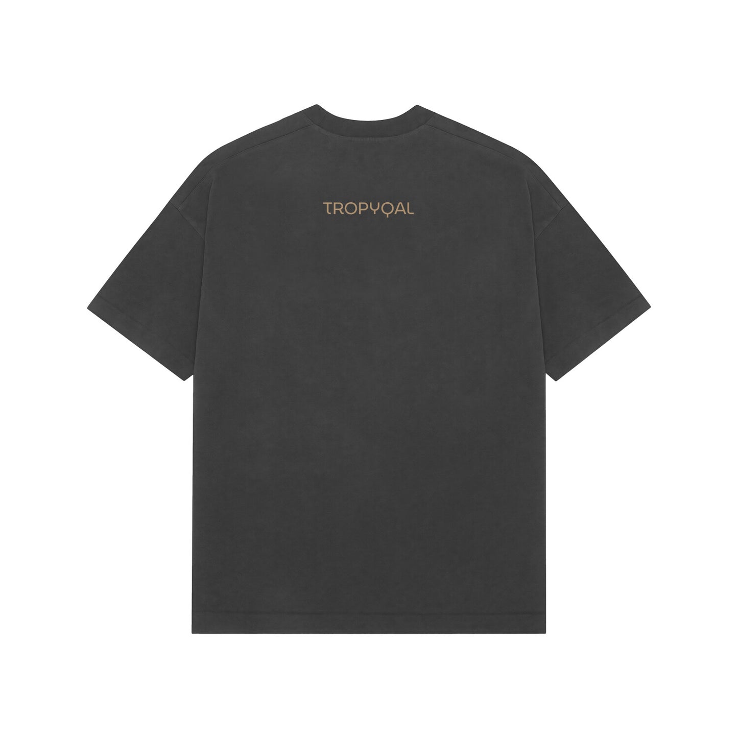 Back View - 5550058